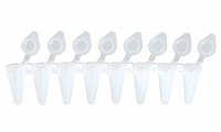 BM - PCR 8連チューブ&シングルフラットキャップ 0.1ml ホワイト: PCR