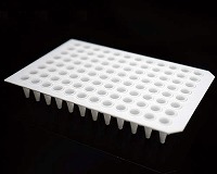 96ウェルPCRプレート 0.1mL セミスカート ホワイト Roche対応(A12/H12ノッチ)