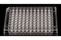 96 Well Cell Culture Plate, Flat, TC, Sterile