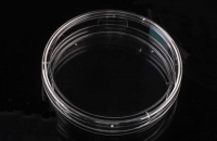 細胞培養ディッシュ　100mm　接着細胞用　滅菌　5枚/パック