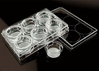 6セルカルチャーインサート/6ウェルプレート 8μm PCメンブレン 浮遊細胞用 滅菌