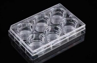 6 Cell Culture Inserts+6 Well Plate,8 μm, PET Memberane, Non-Treated, Sterile, 6/pk, 60/cs