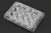 12 Cell Culture Inserts+12 Well Plate, 8 μm, PET Memberane, TC, Sterile, 12/pk, 120/cs