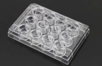12 Cell Culture Inserts+12 Well Plate, 1 μm, PET Memberane, Non-Treated, Sterile, 12/pk, 120/cs