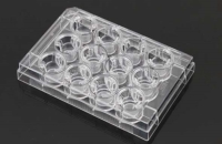 12セルカルチャーインサート/12ウェルプレート 1 μm PET メンブレン 浮遊細胞用 滅菌