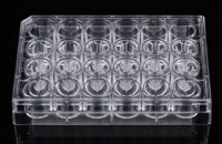 12 セルカルチャーインサート/24ウェルプレート　1 μm　PETメンブレン　接着細胞用　滅菌