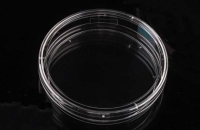 細胞培養ディッシュ 100mm 接着細胞用 滅菌 20枚/パック