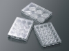 CellSCAFLD 3D細胞培養スキャフォールド　12ウェルプレート　接着細胞用