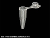 【OUTLET】0.2mL PCRチューブ 透明薄壁タイプ , フロストフラットキャップ
