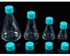 三角フラスコ 250ml　平底　PETG ベントキャップ　個装滅菌