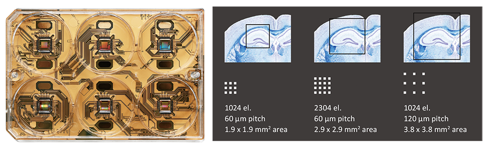 3Brain_6-HD-MEA_plate