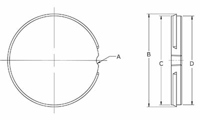 BMSC0200078_size.jpg