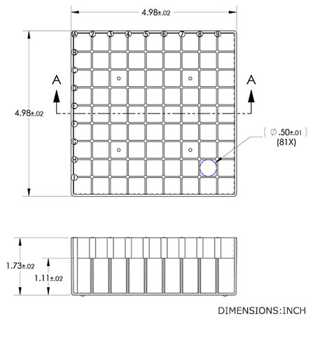 BMSC0200547_size