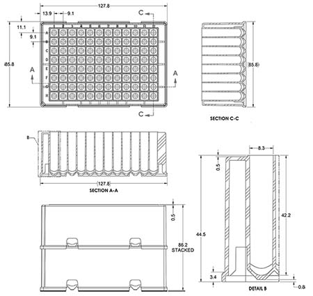 BMSC0200613_size