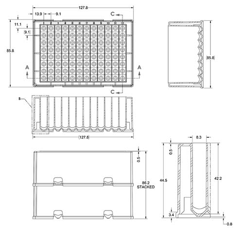 BMSC0200617_size