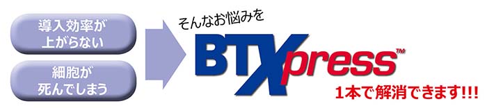 btxpress