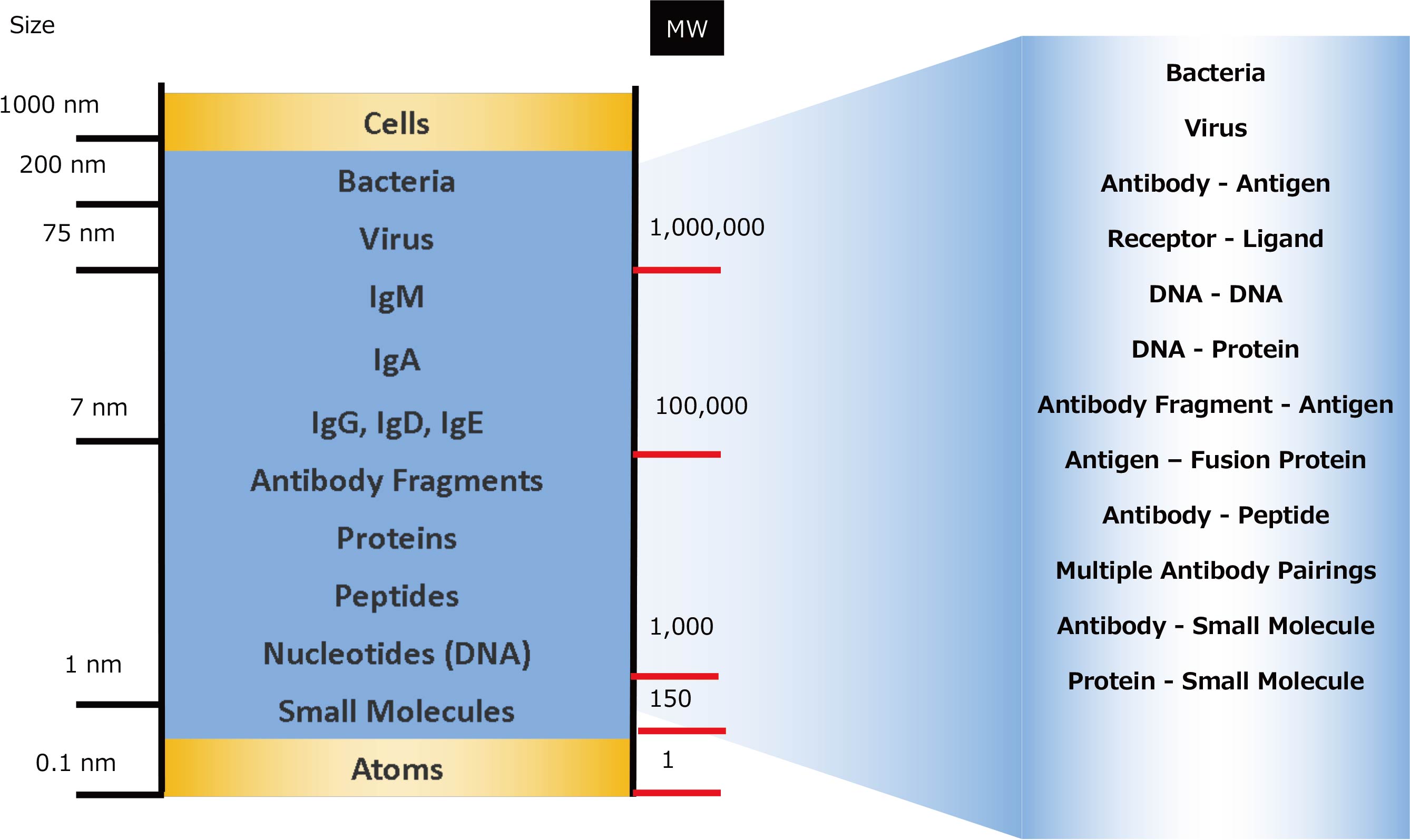 biomarker_detection