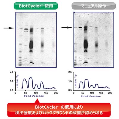 Blotcycler_table