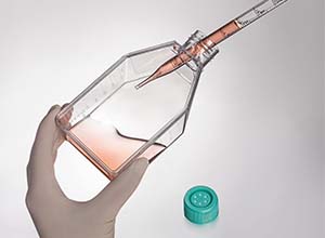JET_Flask_4