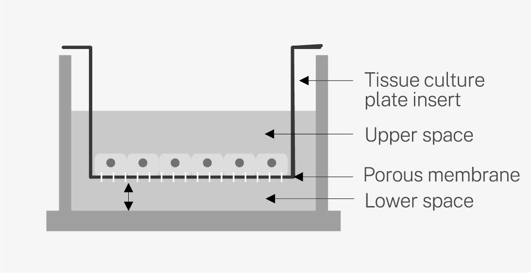 JET_insert_2