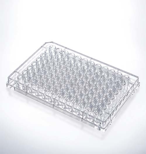 JET_plate_5