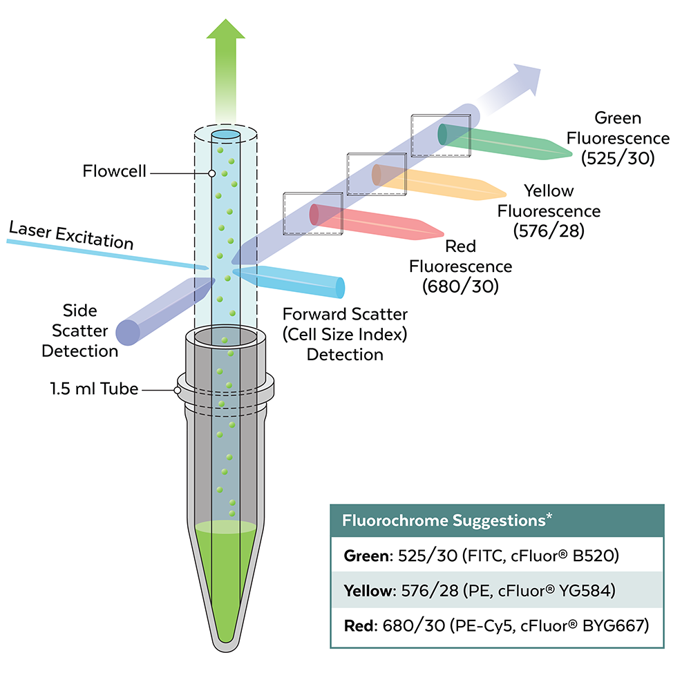 Muse_Micro_Schematic