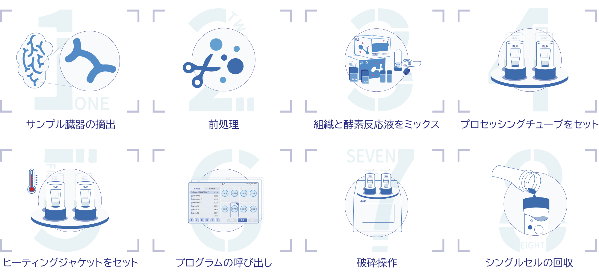 RWD_workflow