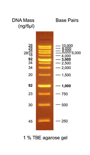 sd110-0100_2