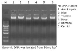 sn012-0100_2