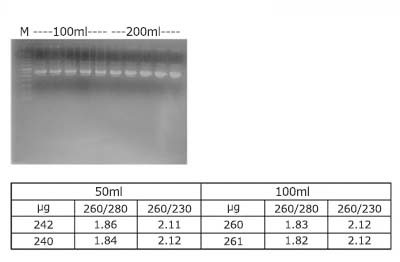 sn205-0020_2