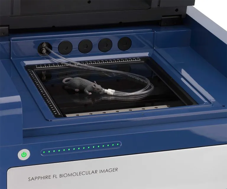 Sapphire_FL_Mouse-on-Scanner