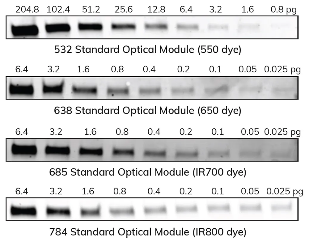 Sapphire_FL_Sensitive-Fluorescent-Detection