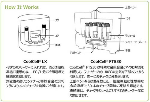 BM - CoolCell LX 1ml/2mlクライオチューブx12本 グリーン: 冷蔵・冷凍 