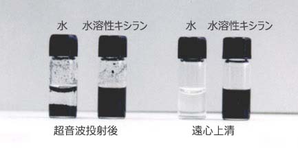 BM - バイオラプター カーボンナノチューブの分散 - BIO BM - バイオラプター カーボンナノチューブの分散 - BIO