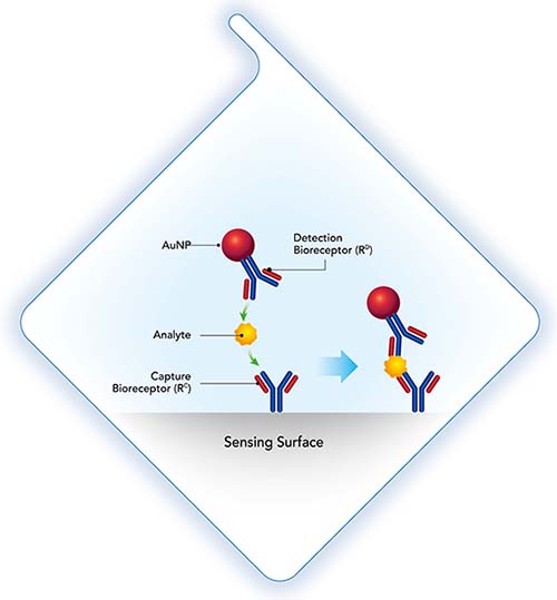 enhancement_assays