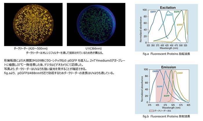 nonuv_gfp