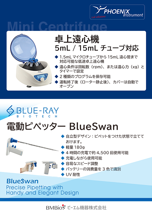 mbsj_2024_BlueSwan_Phoenix